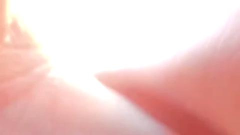 34231