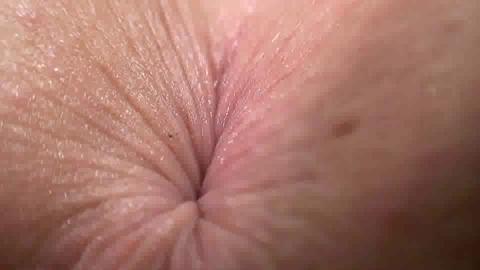 36536