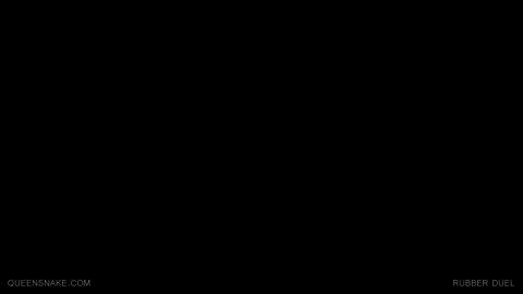 24329