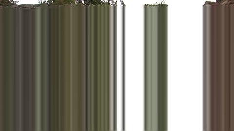 10614
